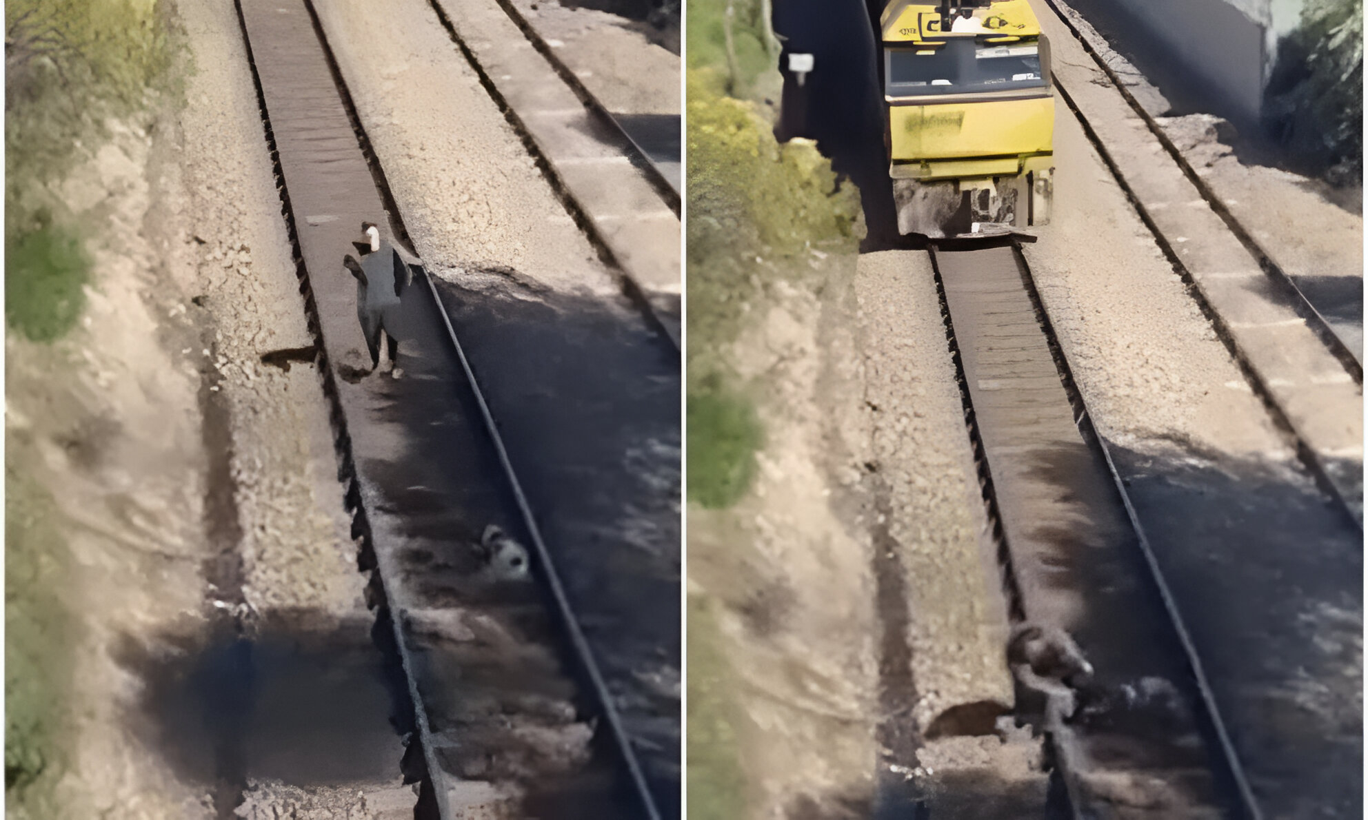 Héroe sin capa: Un hombre arriesgó su vida para salvar a un perrito que dejaron atado en las vías del tren