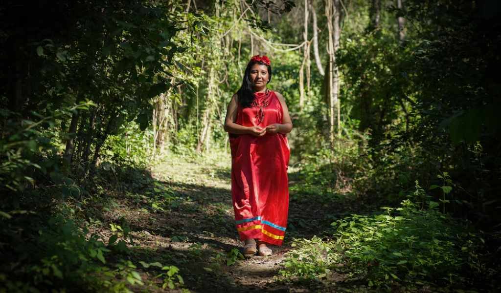 "LAS PROTECTORAS DE LAS YUNGAS": LA COMUNIDAD GUARANÍ DE SALTA QUE LUCHA POR CONSERVAR EL BOSQUE Y SU BIODIVERSIDAD